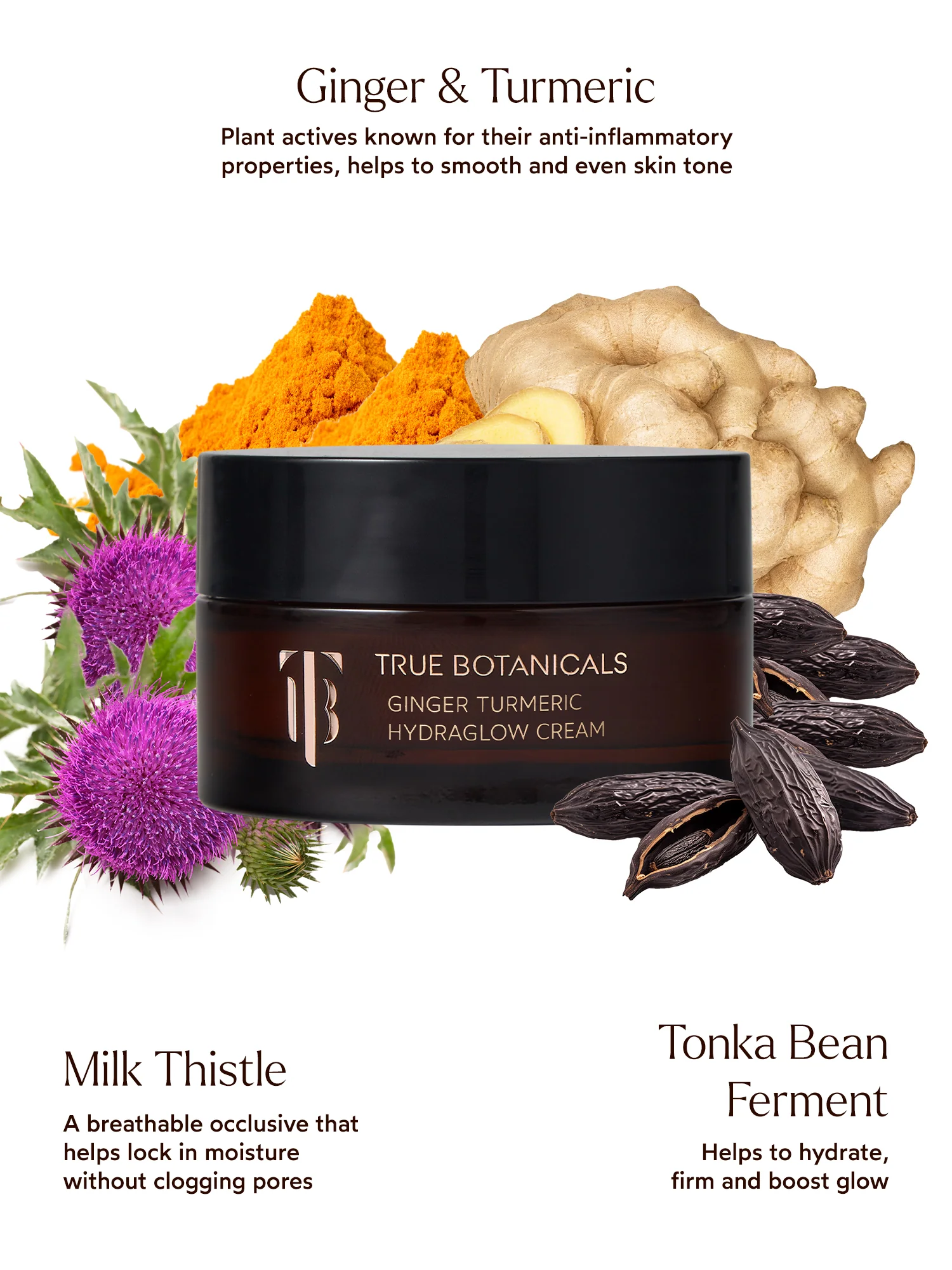 Ginger Turmeric HydraGlow Cream - Image 4
